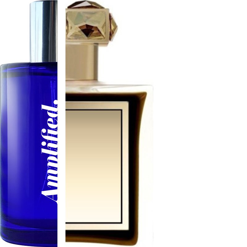 ROJA DOVE – Amber Aoud IMPRESSION